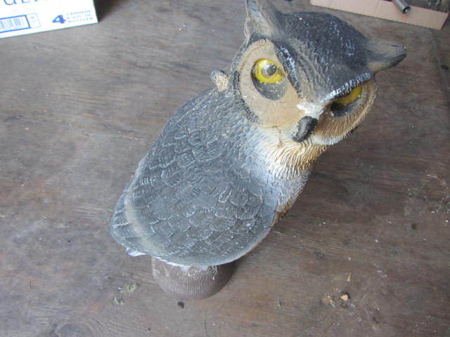 lot 79 image: Owl Decoy