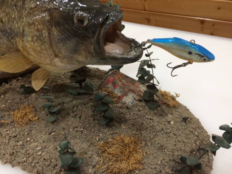 lot 3 image: Largemouth Bass Mount