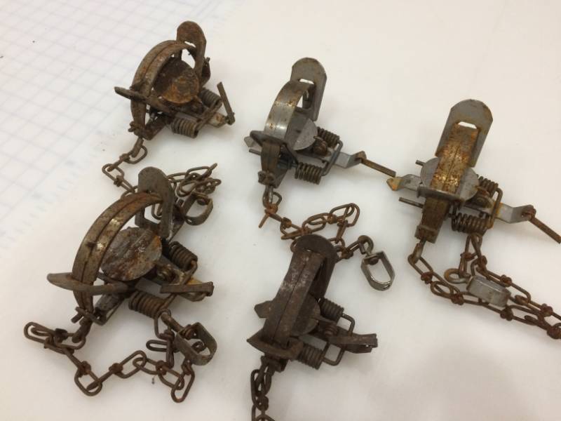 lot 15 image: Duke traps