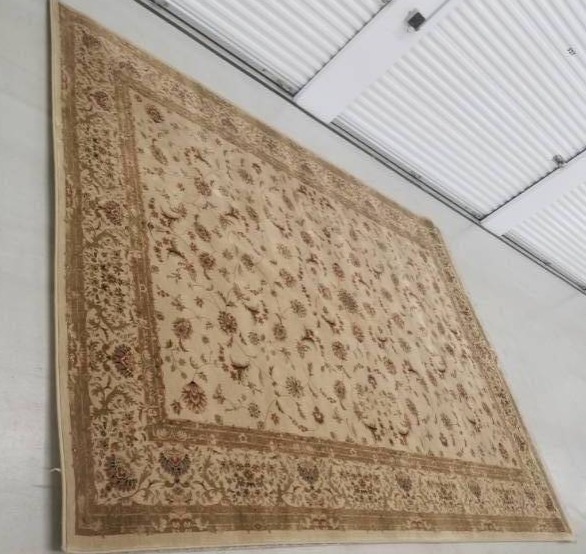 lot 14 image: Dalyn Egyptian area rug  9.7 x13