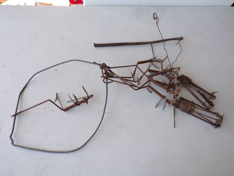 lot 62 image: 9 gopher Traps
