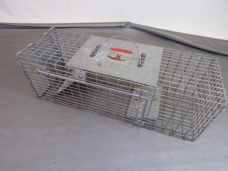 lot 76 image: Small Live Trap