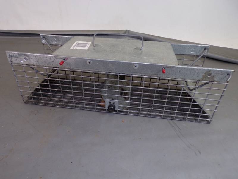 lot 77 image: Small Live Trap