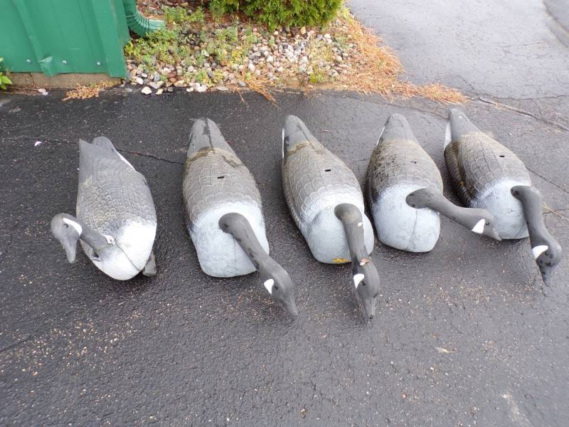 lot 110 image: 5 Goose Decoys
