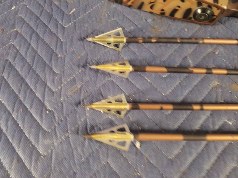 lot 36 image: Compound Bow