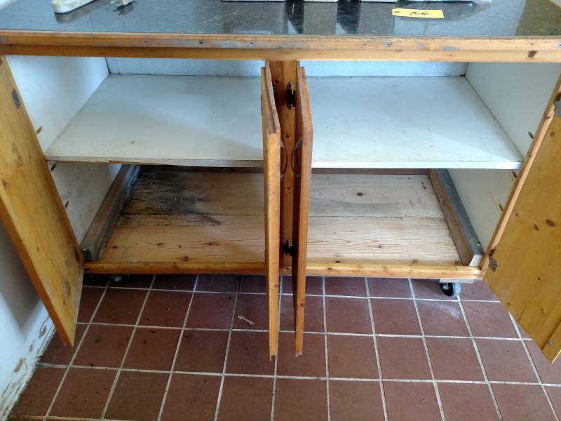 lot 106 image: Rolling Cabinet, 55x25x36...