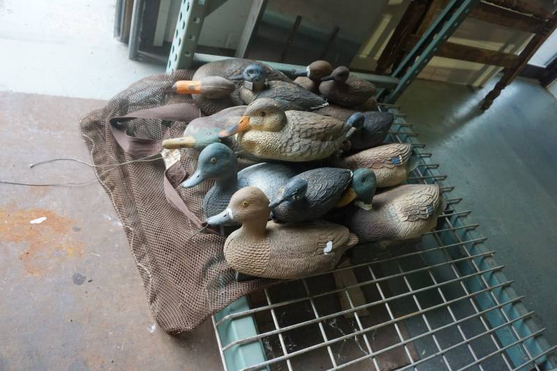 Lot of Assorted Mixed Species Duck Decoys With Mesh Bag
