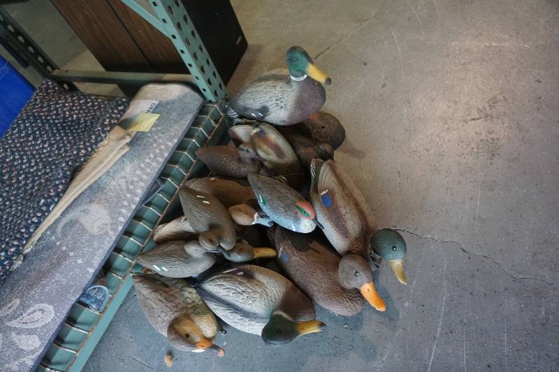 Lot of Assorted Species Duck Decoys