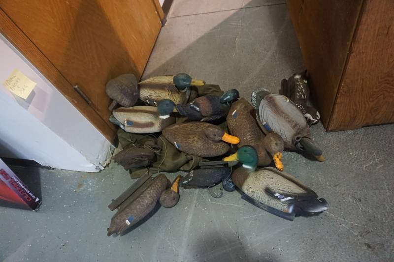 Lot of Assorted Species Duck Decoys