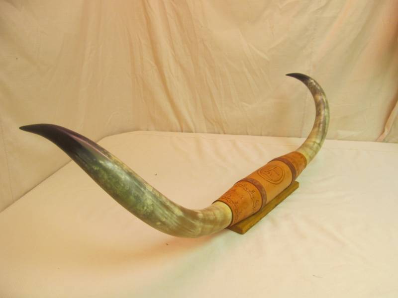 lot 108 image: Long Horns