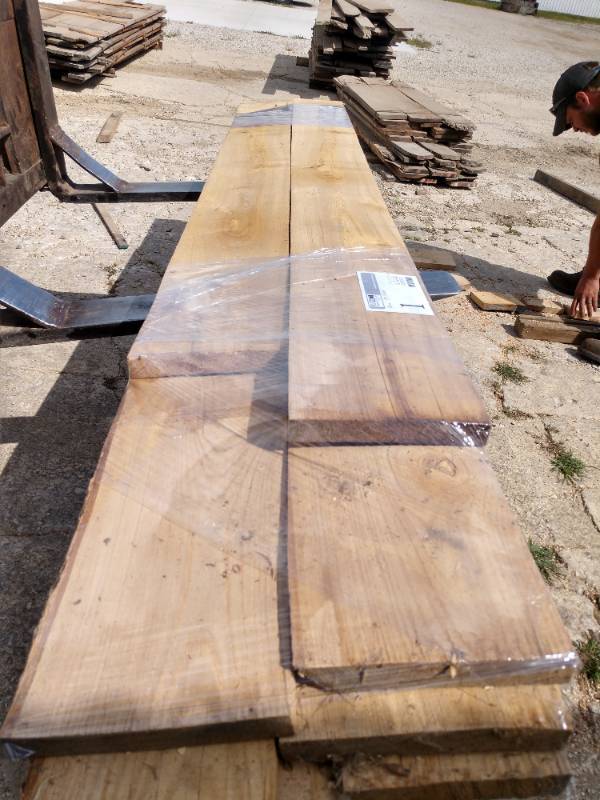 Lot of (8) Elm Boards