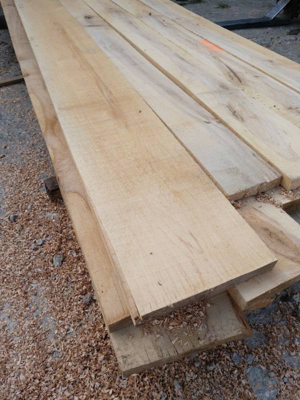 Lot of (22) Maple Boards