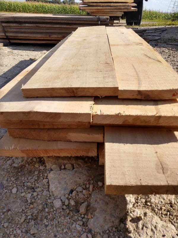 Lot of (12) Maple Boards