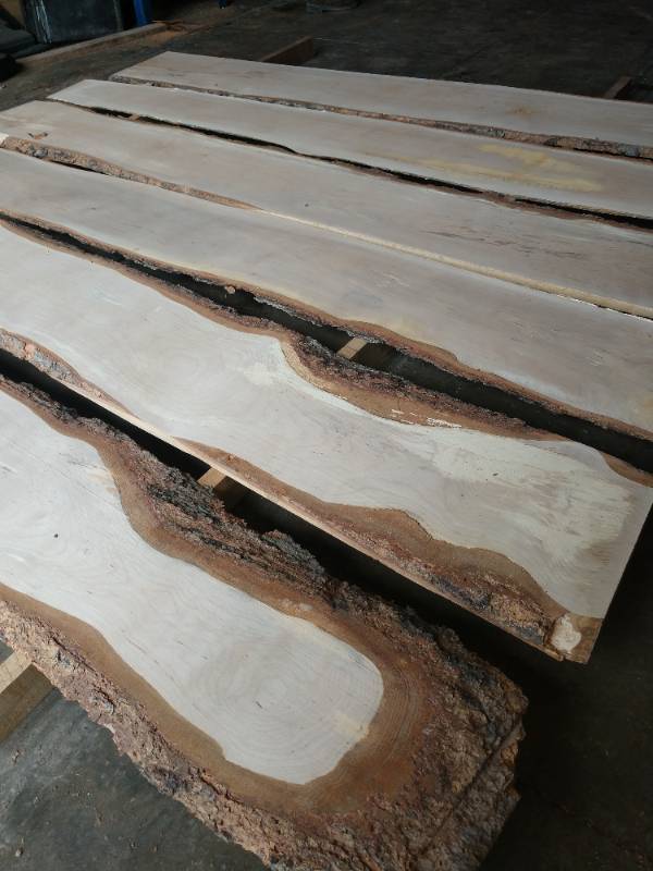 Lot of (6) Wide Birch Live Edge Boards