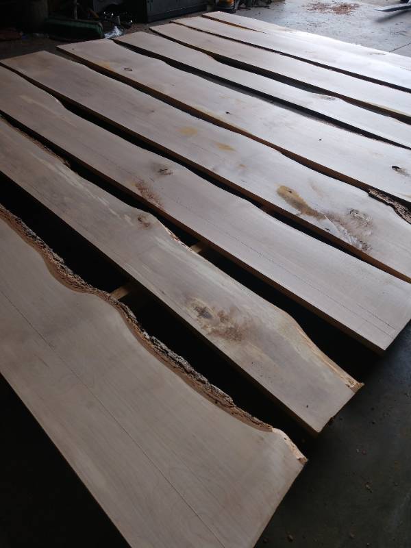 Lot of (9) Birch Live Edge Craft Boards