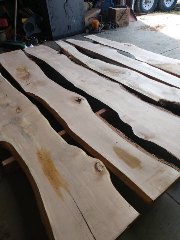 Lot of (6) Birch Live Edge Craft Boards
