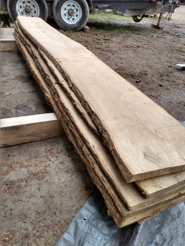 Lot of (5) River Birch Double Live Edge Boards