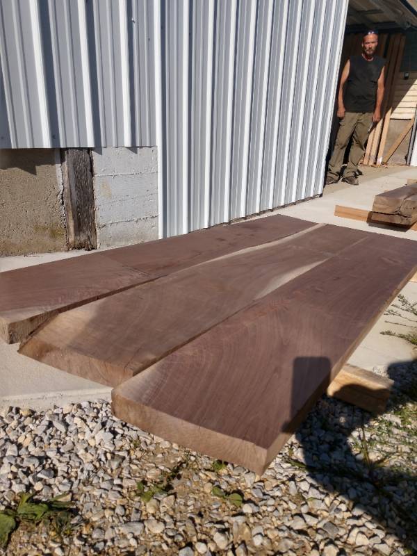 Lot of (3) Walnut Tabletop Slab Boards