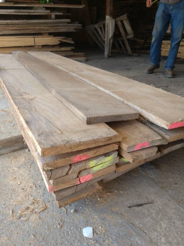 Lot of (25) Elm Boards