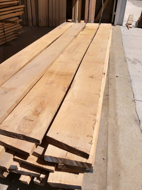 Lot of (32) Maple Boards