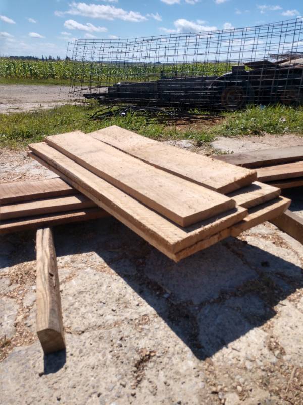Lot of (6) Elm Boards
