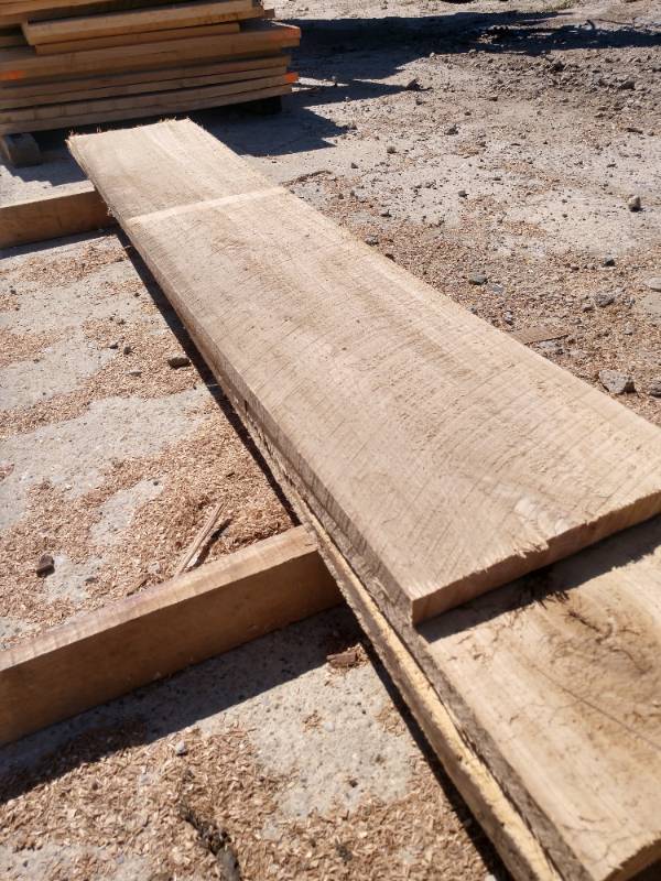 Lot of (3) Elm Boards