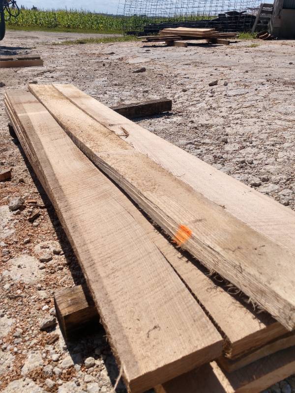 Lot of (12) Red Elm Boards