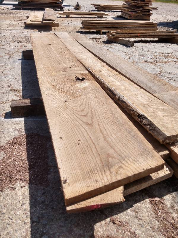 Lot of (8) Red Elm Boards