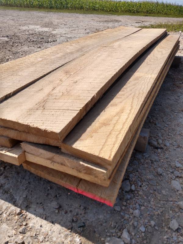 Lot of (15) Red Elm Boards