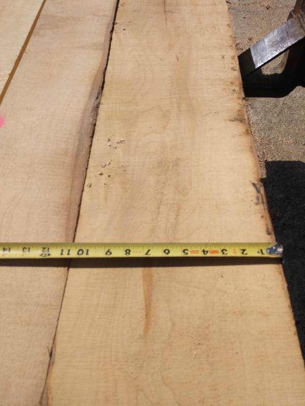 Lot of (20) Maple Boards