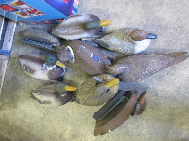 lot 21 image: 9 Duck Decoys...
