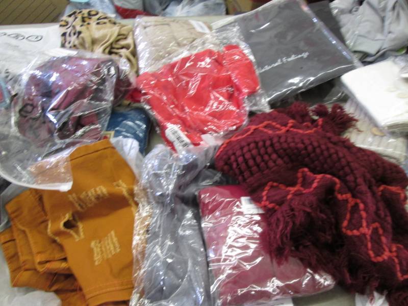 lot 157 image: 10 New  Assorted Ladies Clothing It...