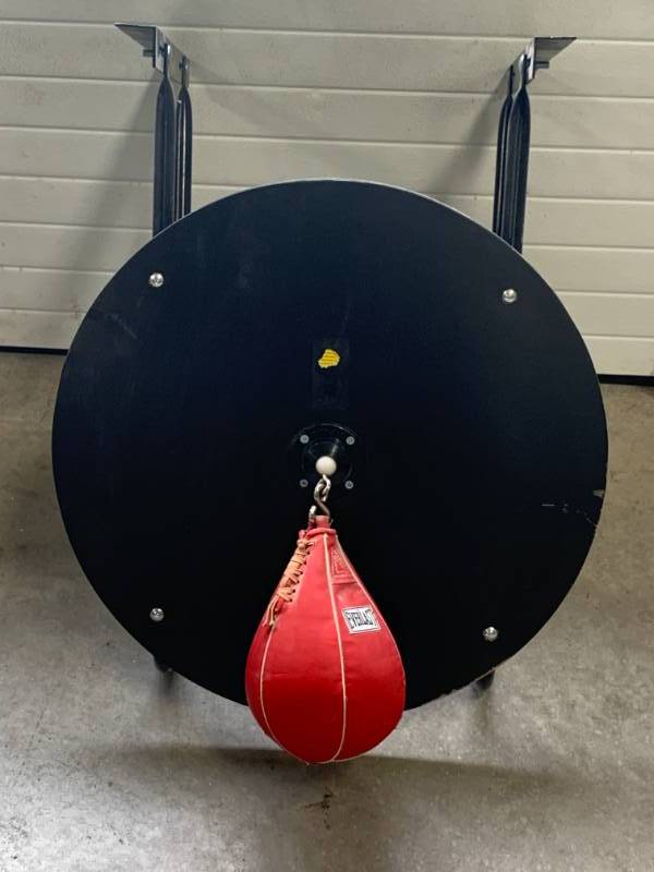lot 5 image: Everlast Speed Bag with Mounting Bracket