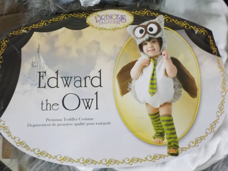 lot 70 image: Edward The Owl Costume for toddlers...