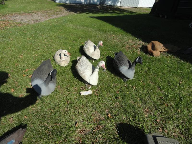 lot 39 image: Goose Floater Decoys