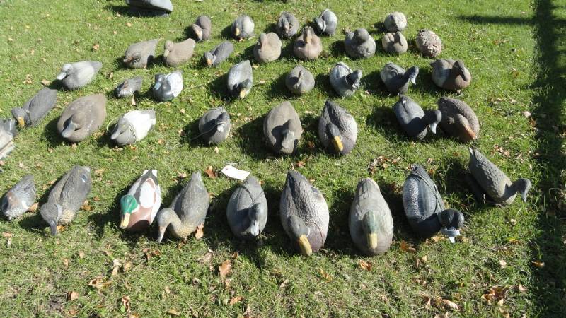 lot 38 image: Large Lot Of Duck Decoys With Weights
