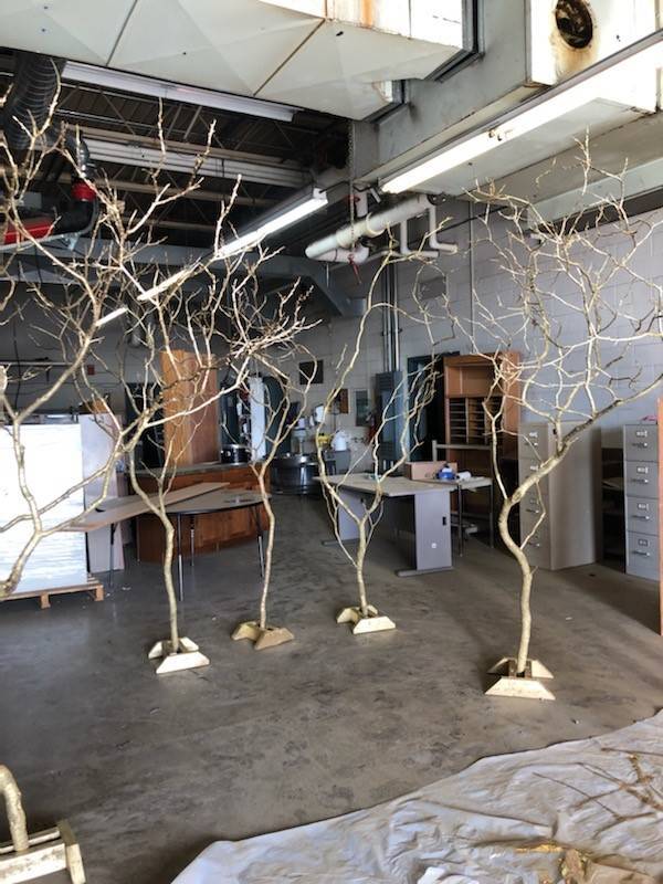 lot 199 image: 10 trees for decoration.... prom weddings