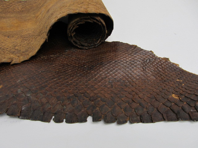 lot 225 image: Old Vintage 8 Foot Leather Snake Skin