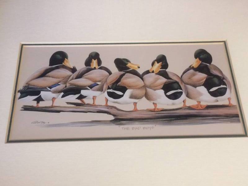 lot 44 image: The Bad Boys Duck Framed & Matted Print