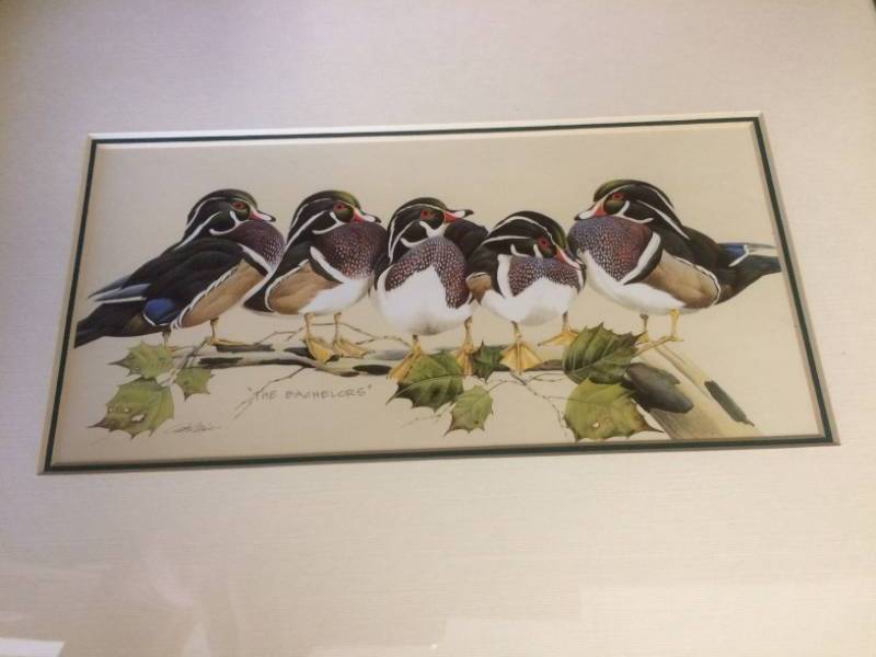 lot 46 image: The Bachelors&nbspDuck Framed & Matted Print