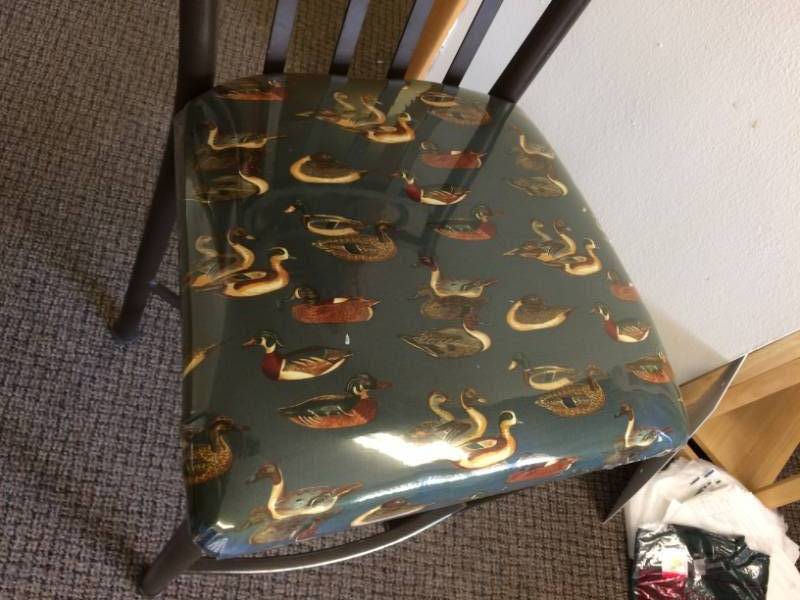 lot 23 image: Super Fun Iron Stool With Waterfowl Printed Cushioned Seat - Like New Condition - Cushion Is Plastic Coated