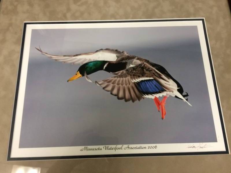 lot 103 image: Minnesota Waterfowl Association 2006 Framed & Matted Signed Print