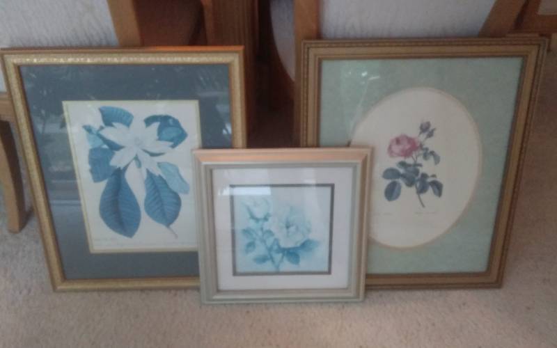 lot 62 image: 3-Piece Botanical Floral Framed Prints 2-18x22. Rose Delight 1-15x15 By Mathenia