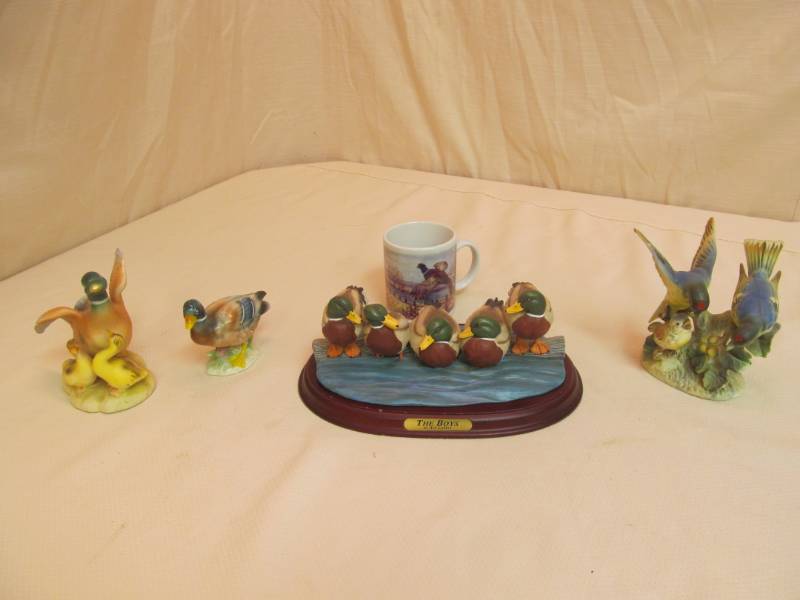 duck dcor
