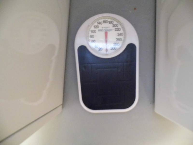 lot 3 image: ProShape Scale