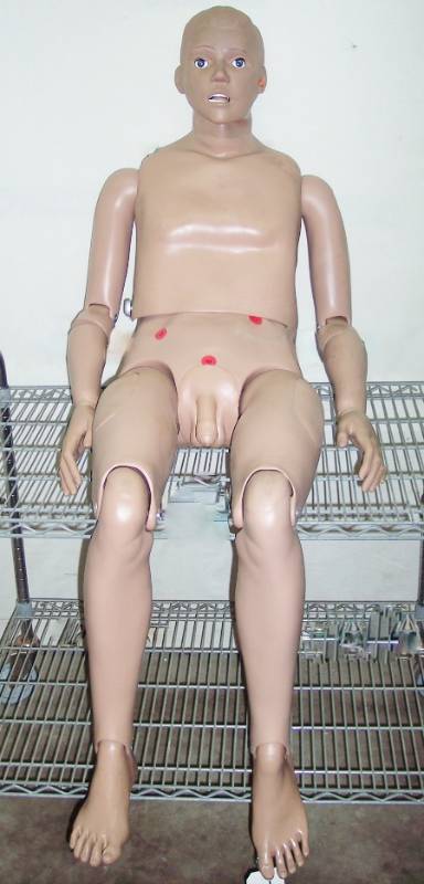 lot 19 image: Adult Male Female Patient Care Simulator