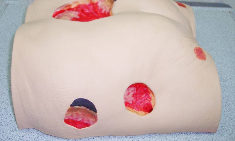 lot 22 image: Vata Seymour II-0910 Wound Care Model