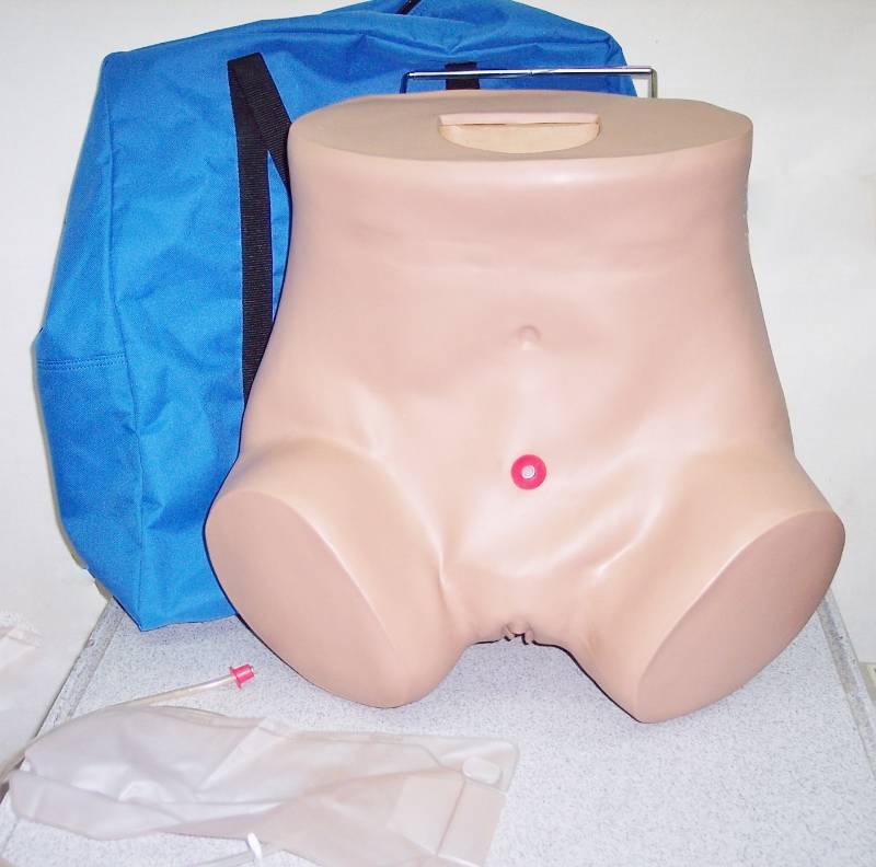 lot 23 image: Gaumard Advanced Patient Care Female Catheterization Skills Trainer