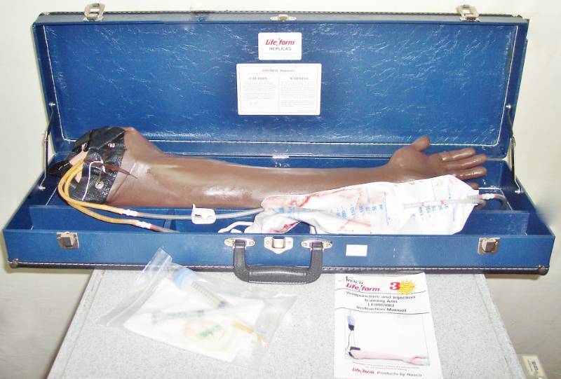 lot 25 image: Nasco Life Form Venipuncture and Injection Arm