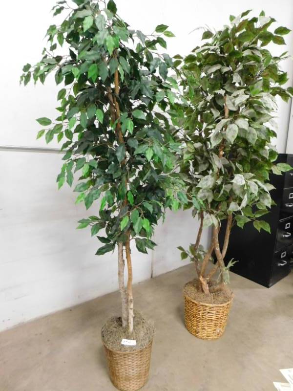 lot 62 image: Two Artificial Trees